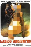 《红唇染香》免费观看全集