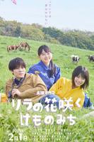 丁香花电影高清完整版免费播放